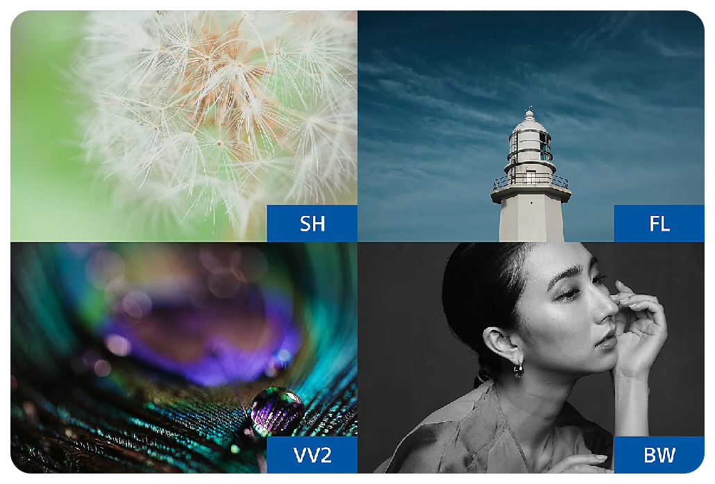 Sony A7 IV sample images showing four creative look presets